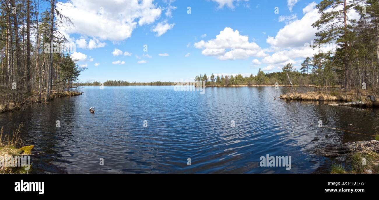 Nigula Nature Reserve, Mires, Estonia Stock Photo