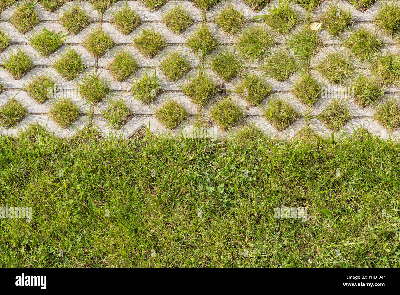 Lawns as a pattern and demarcation in the garden Stock Photo