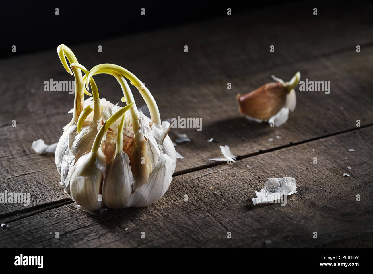 sprouting garlic on wooden table Stock Photo