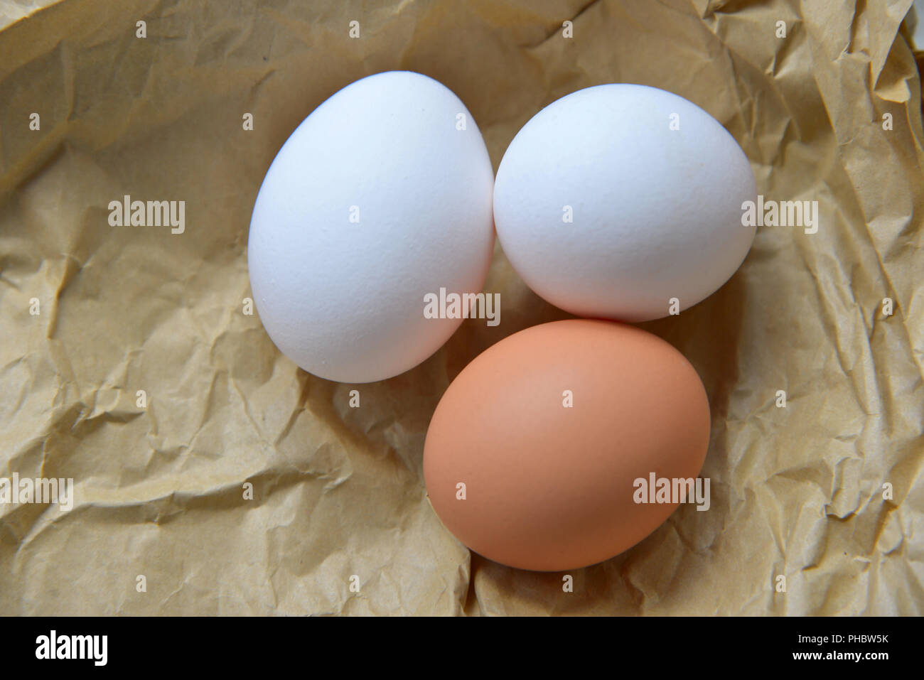 eggs on old white wood background Stock Photo