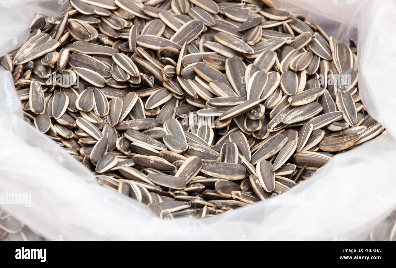 Sunflower seeds soil hires stock photography and images Alamy