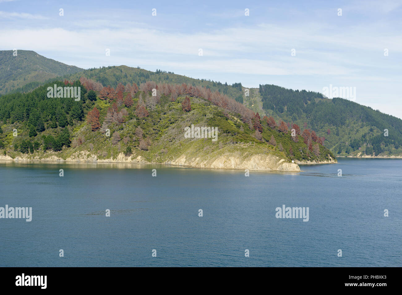 Queen Charlotte Sound, New Zealand Stock Photo Alamy