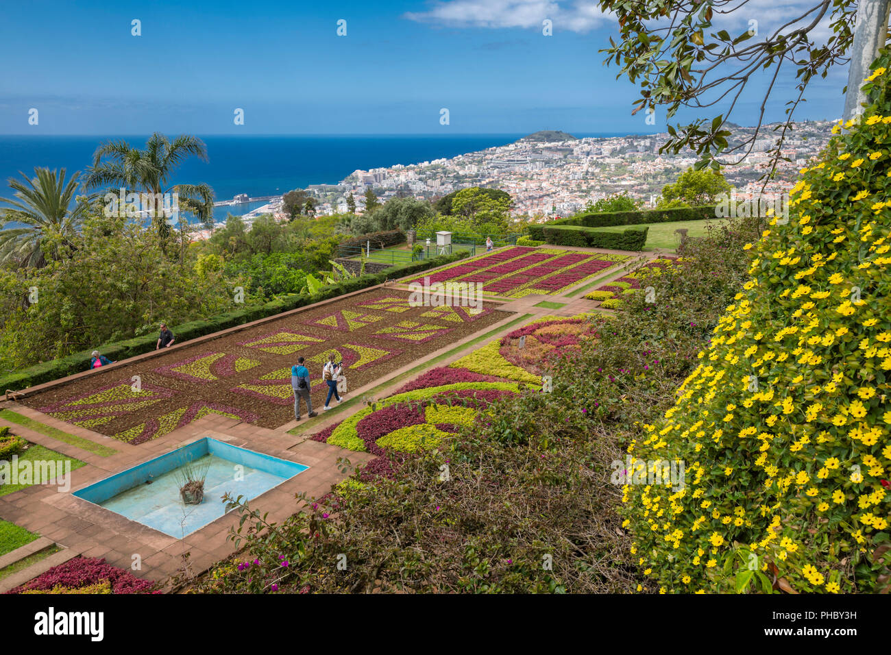 View Of Exotic Flowers In The Botanical Gardens Funchal Madeira view-of-exotic-flowers-in-the-botanical-gardens-funchal-madeira