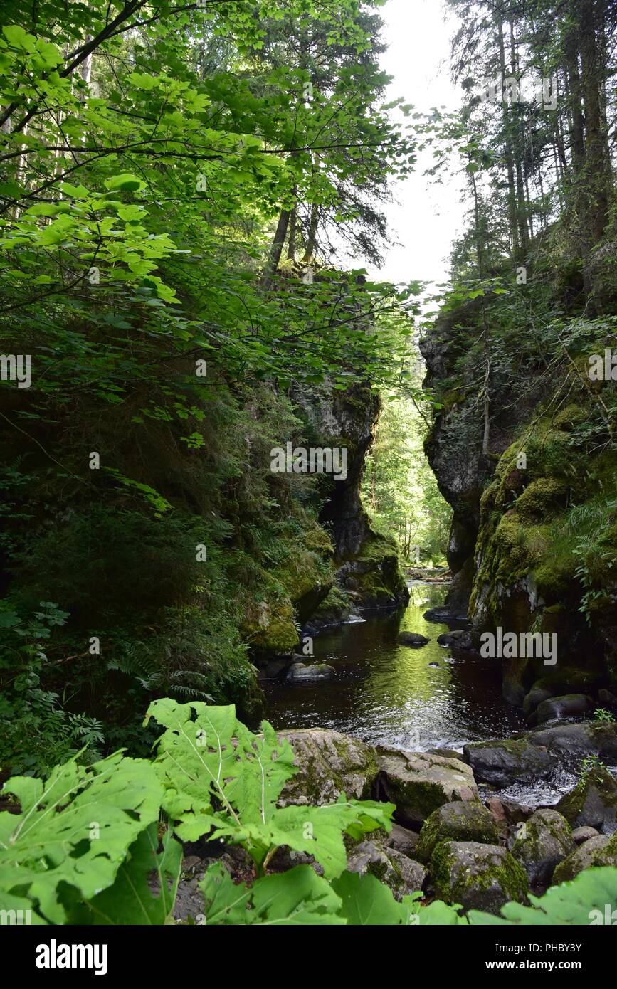Haslach Canyon in the Black Forest Stock Photo