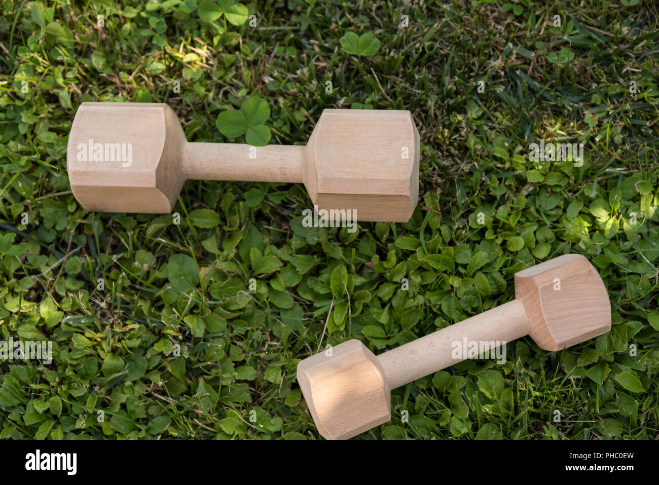 Two dumbbells in different sizes in the meadow Stock Photo