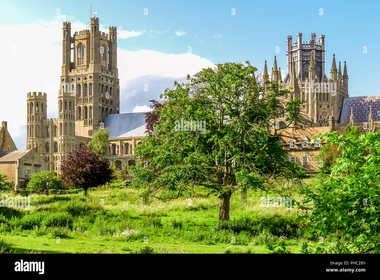 View of historical Ely Cathedral from Cherry Hill Park in summer, Ely, Cambridgeshire, England Stock Photo