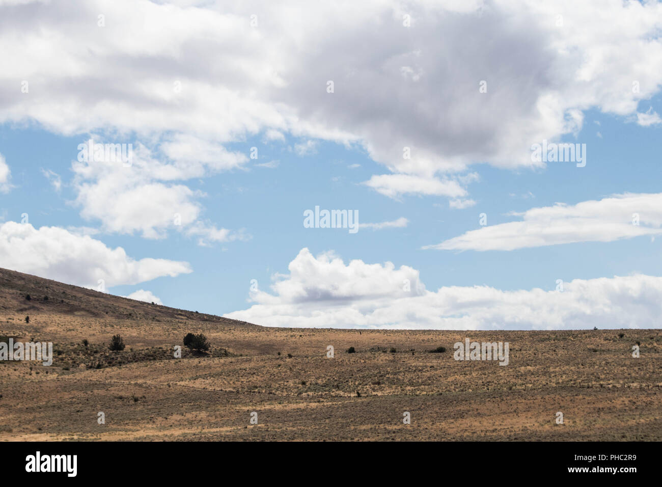 Fluffy clouds pass over the rolling hills of the Owyhee Canyonlands. Stock Photo