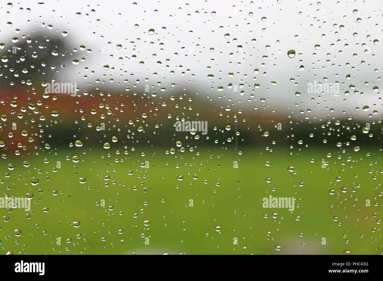 Raindrops on a window pane Stock Photo