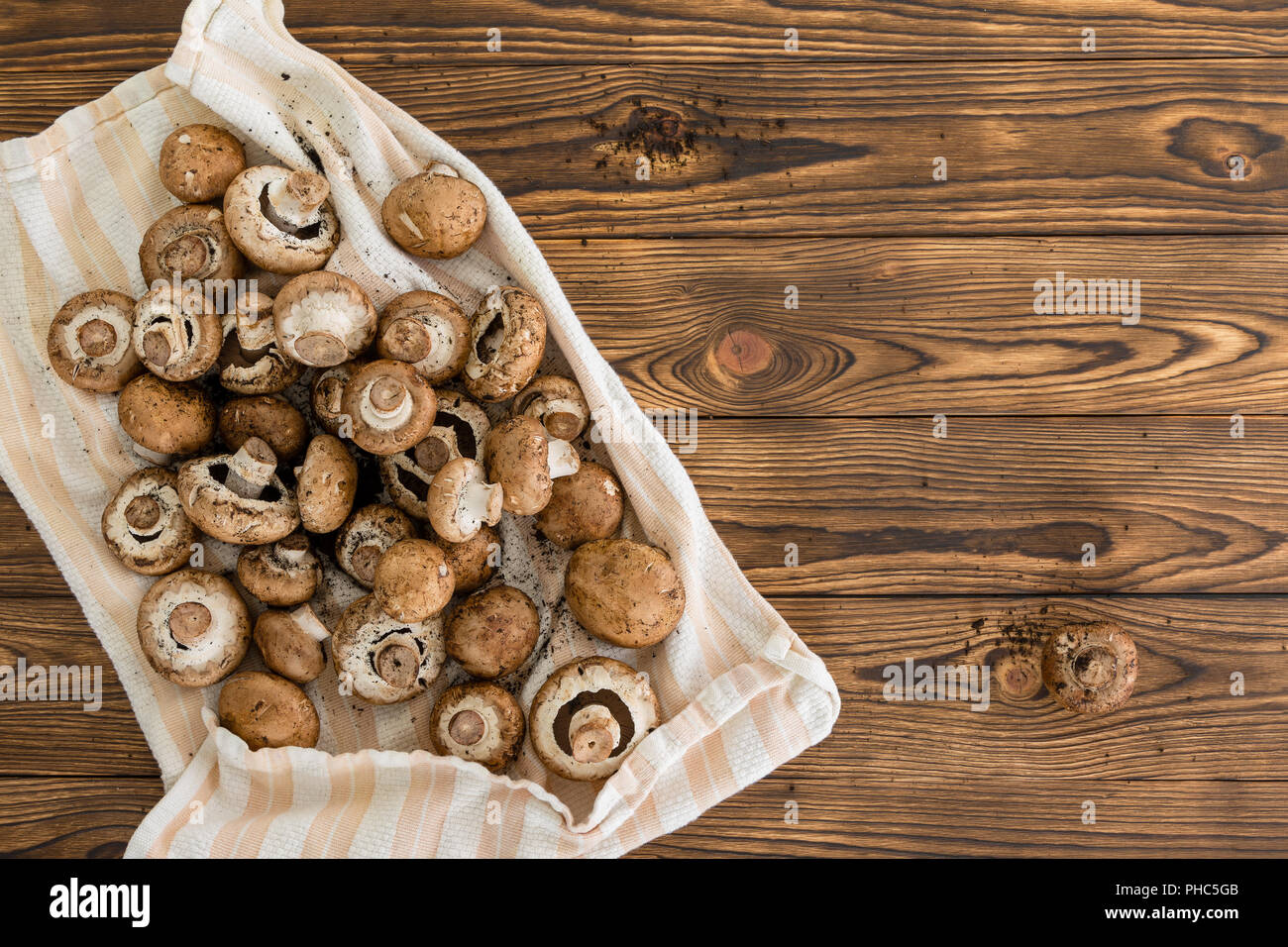 Fresh clean whole raw baby bella mushrooms laid out on a cloth to dry over a rustic wooden table with woodgrain pattern and copy space Stock Photo