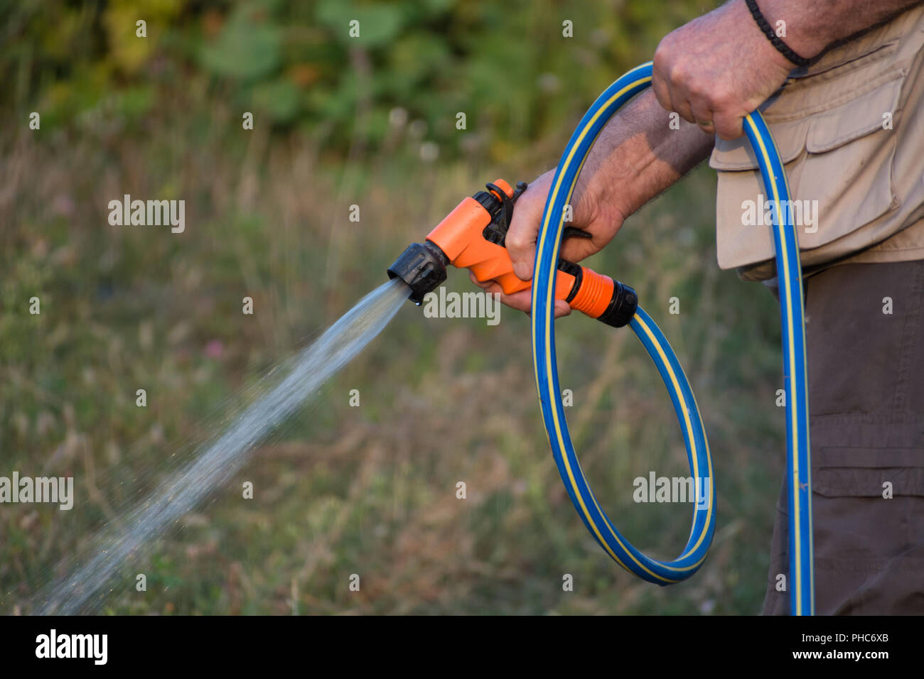 Watering garden plants hose pipe hires stock photography and images
