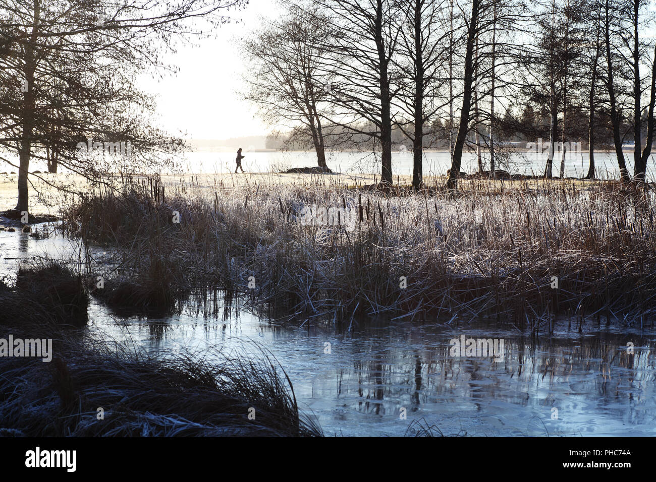winter morning in the park Stock Photo