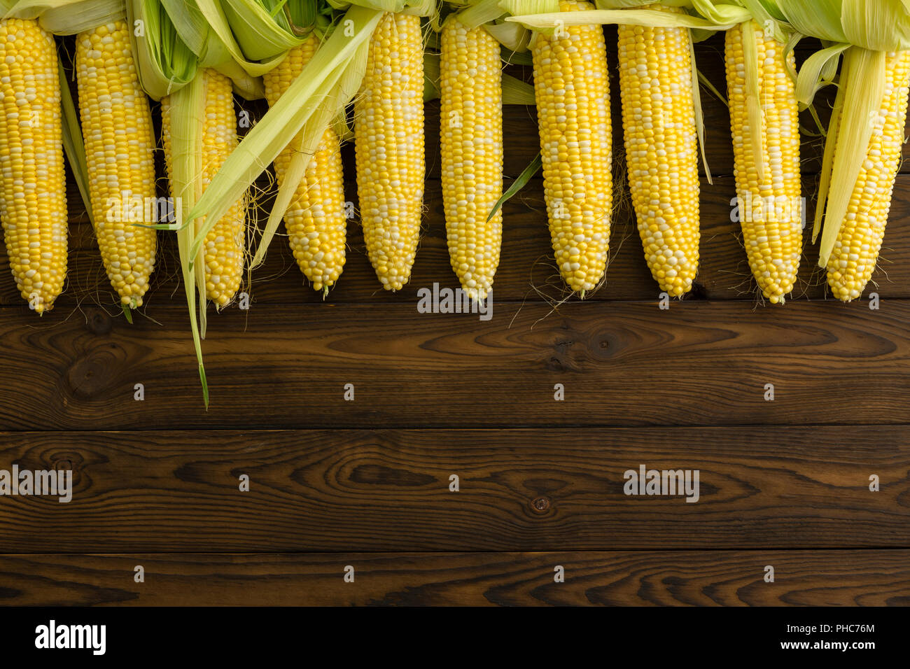 Top border of fresh peeled organic corn on the cob arranged in a row over a rustic wood background with copy space at an organic farm market Stock Photo