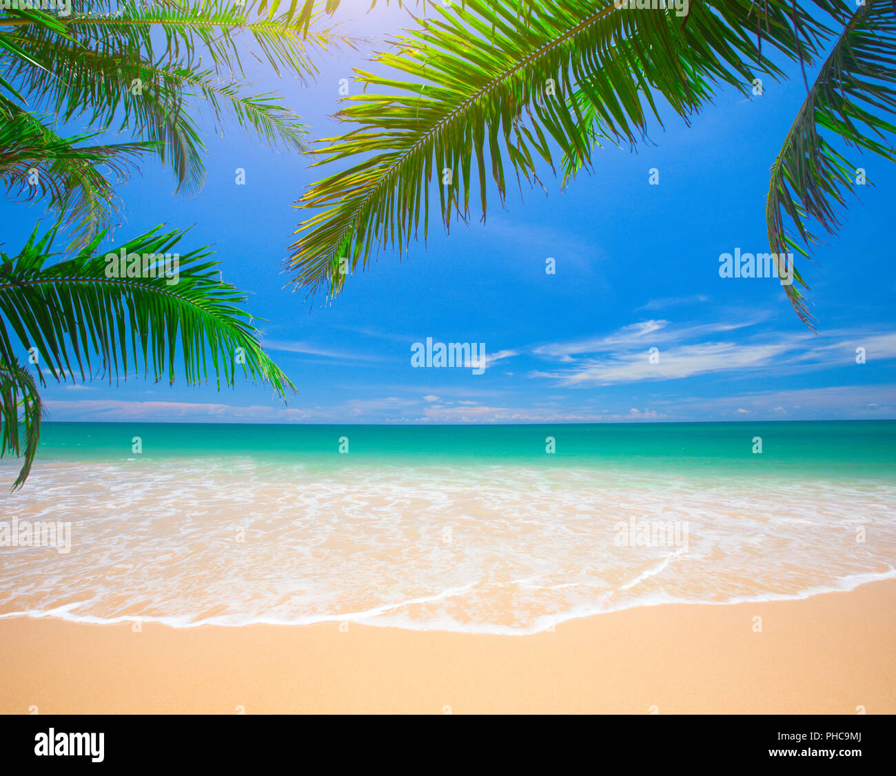 Palm and tropical beach Stock Photo - Alamy