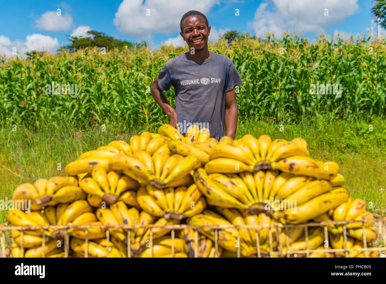 A banana seller seen on the streets of Harare, Zimbabwe Stock Photo