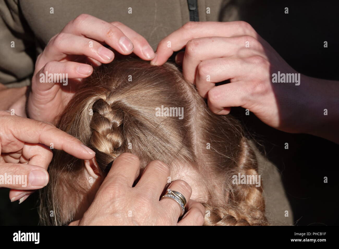 Head lice infection common in young people. Hair being checked using a