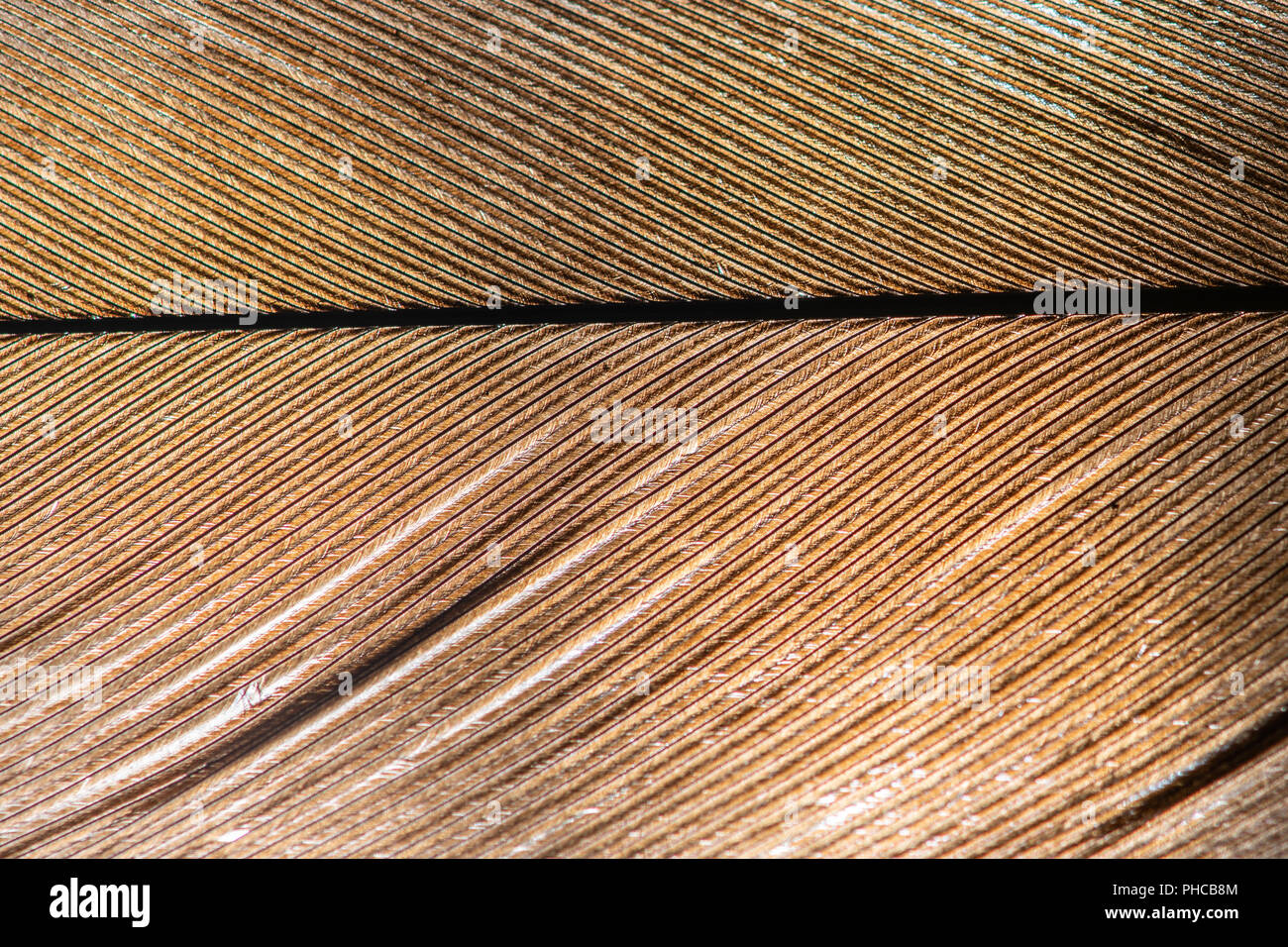 Abstract texture background Stock Photo - Alamy