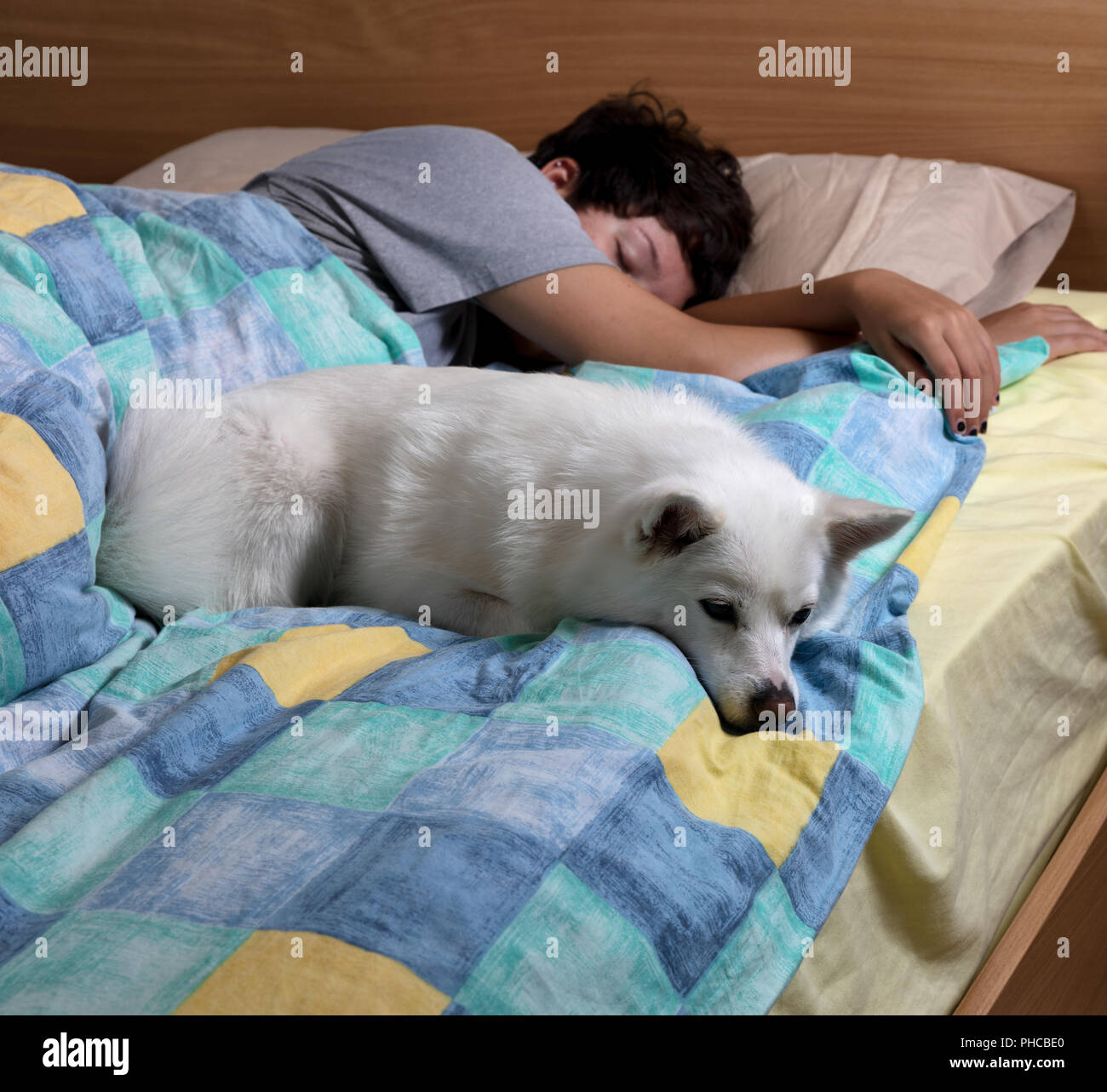 Family dog sleeping with teen girl on bed Stock Photo