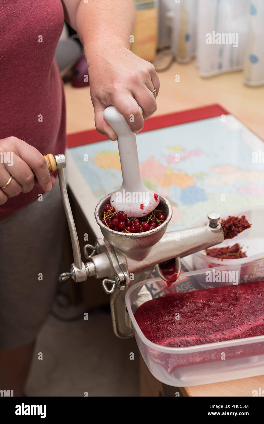 Preparation of currant jam - close-up Red ribis Stock Photo