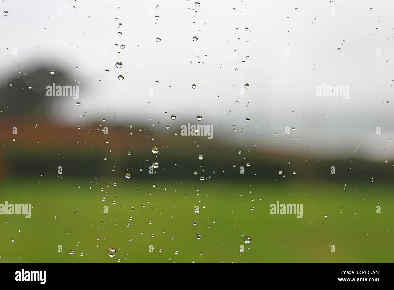Raindrops on a window pane Stock Photo