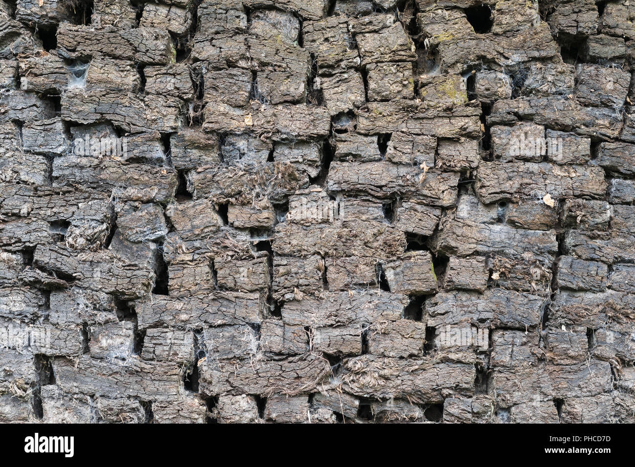 Authentic peat blocks as old-fashioned fossil fuel Stock Photo