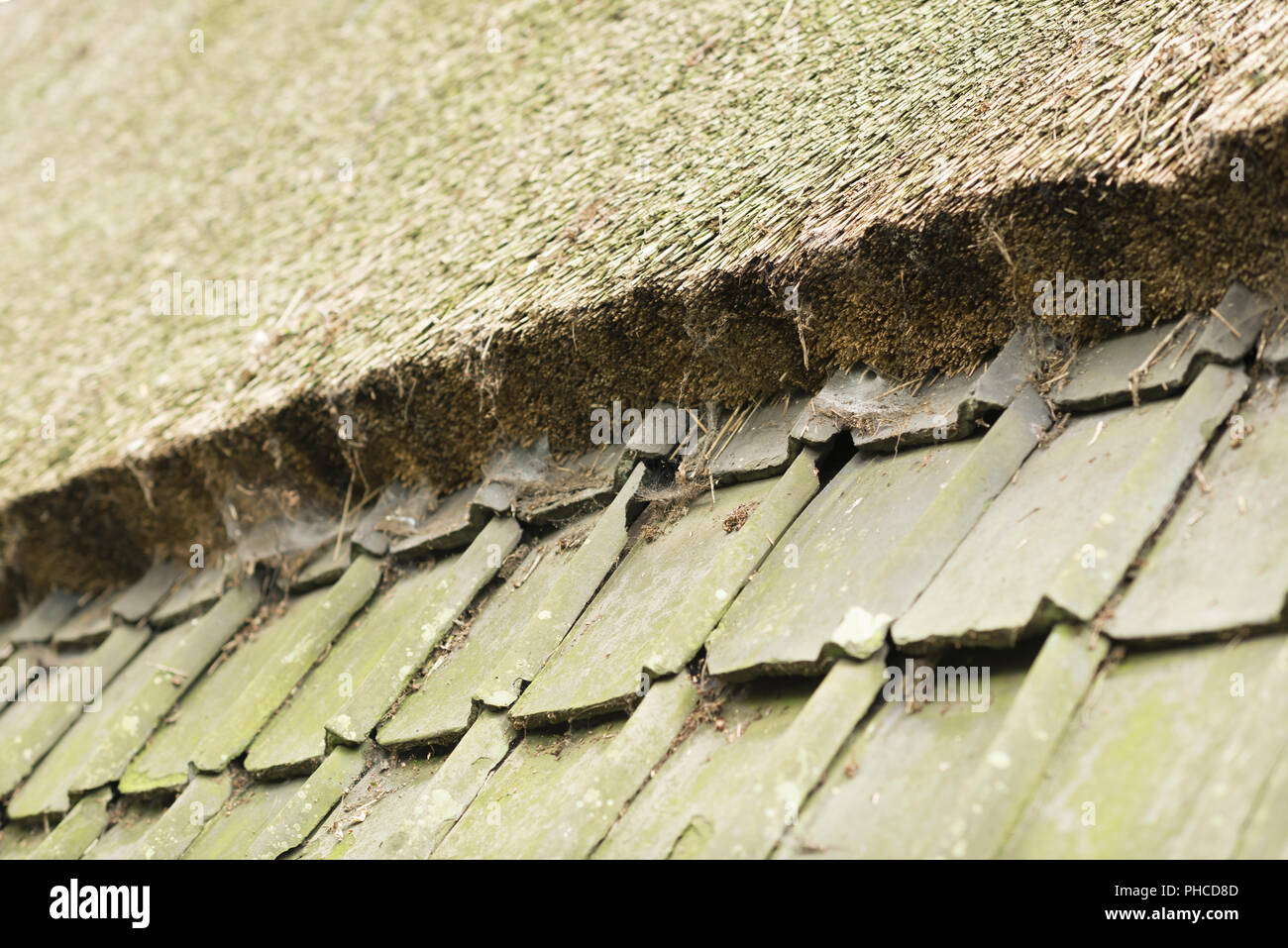 Transition slanted tiled roof to cane Stock Photo