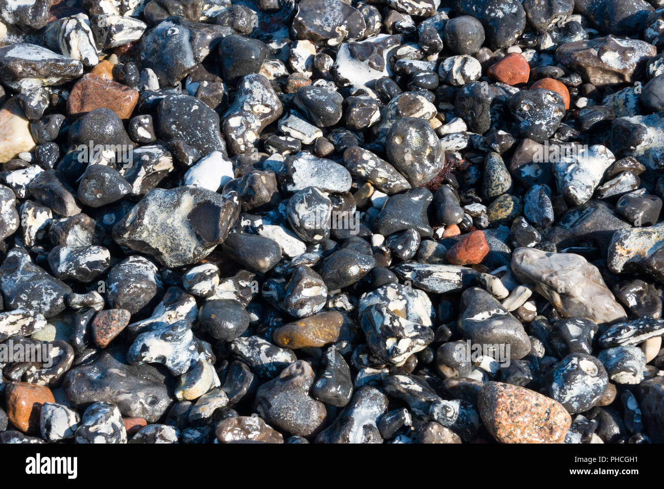 flintstone pebbles at beach Stock Photo
