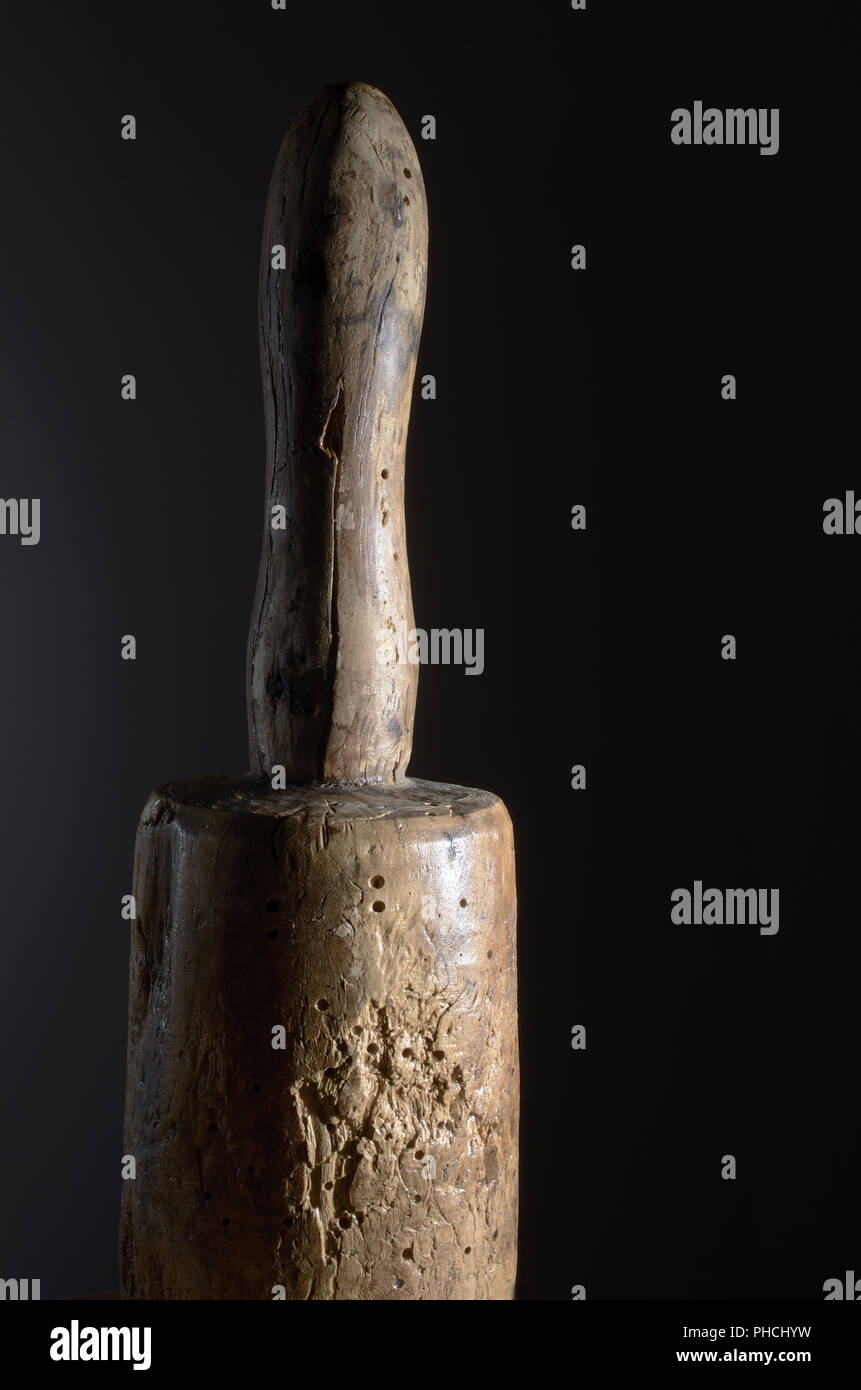 wooden mallet wood borers moth Stock Photo Alamy