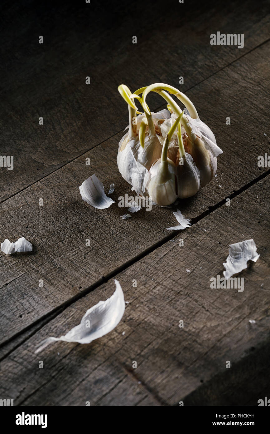 old sprouting garlic on wooden table Stock Photo