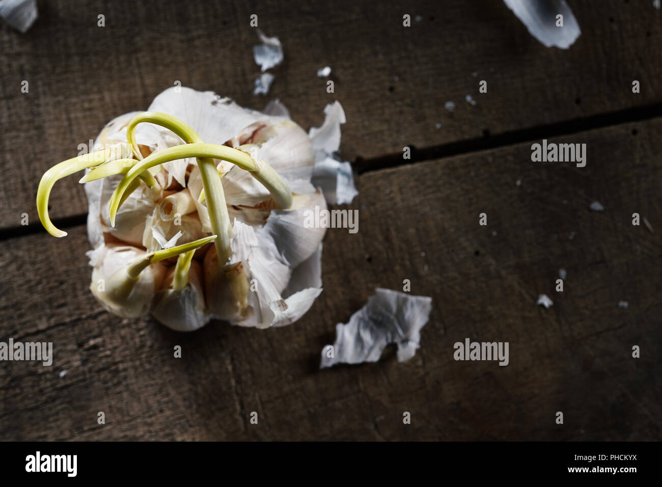 old sprouting garlic on wooden table Stock Photo