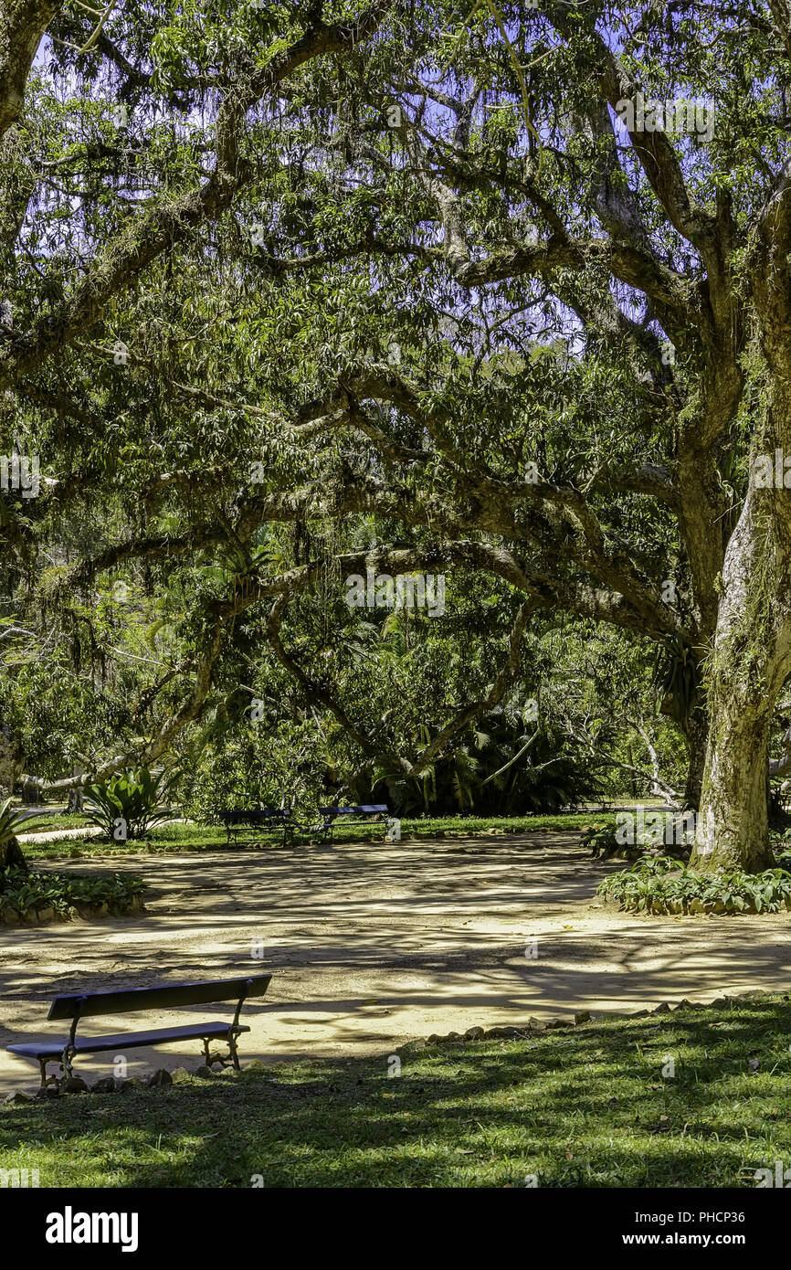 Contemplative space with trees and benches Stock Photo
