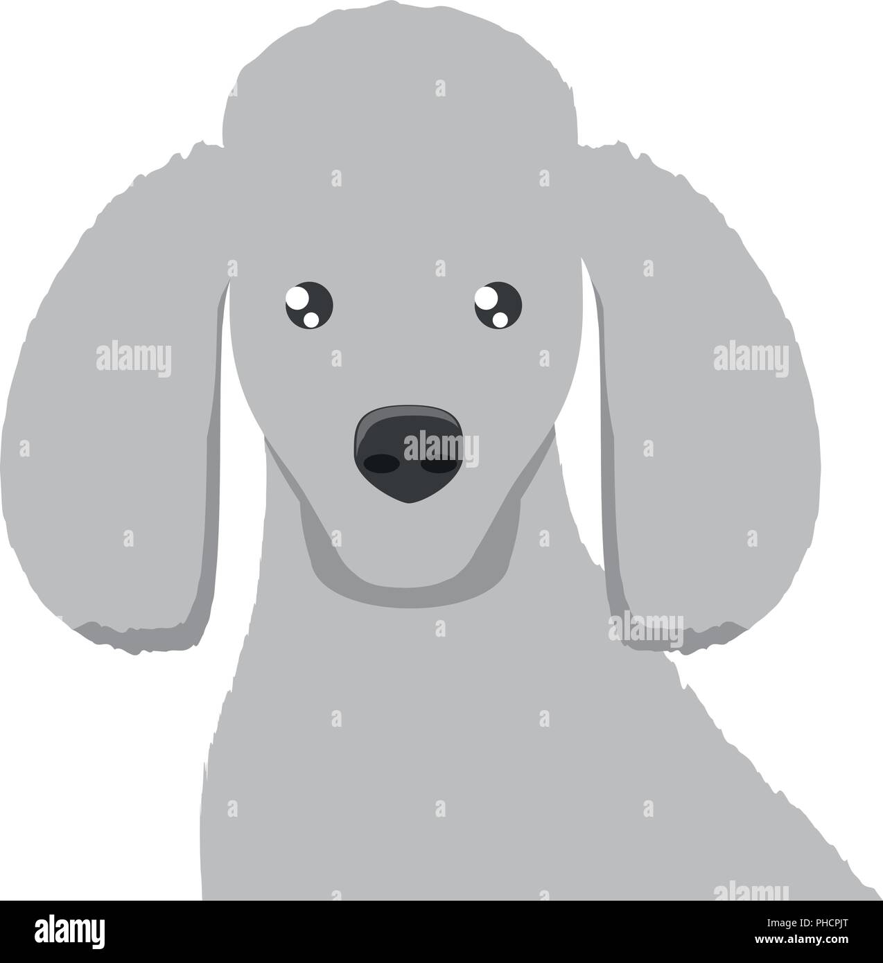 cute poodle dog icon over white background, vector illustration Stock ...