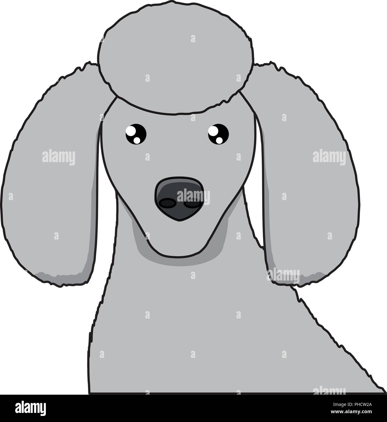 cute poodle dog icon over white background, vector illustration Stock ...