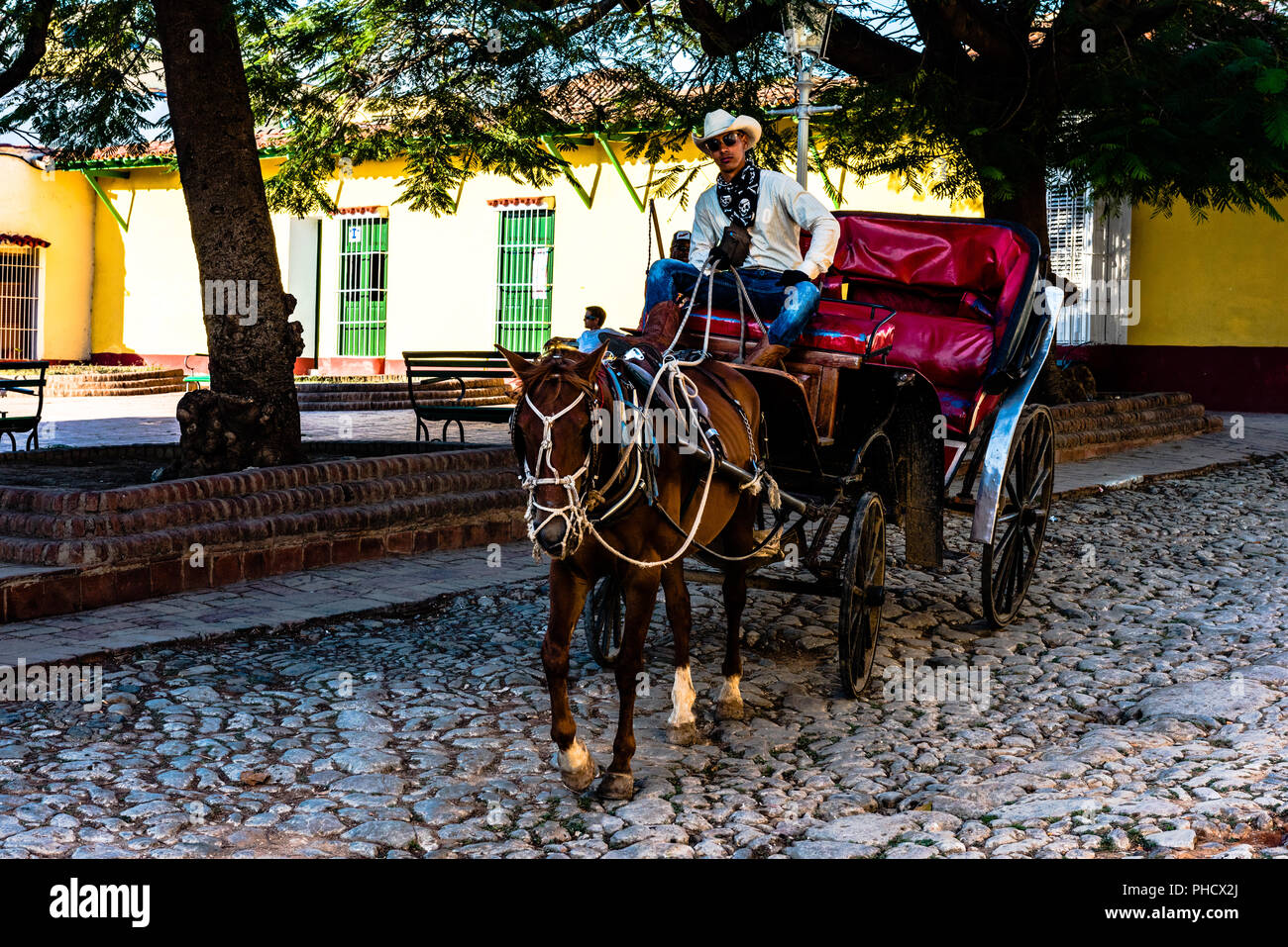 Cuban Cowboy takes the reins of horse and buggy on a cobblestone street in Trinidad, Cuba. Stock Photo
