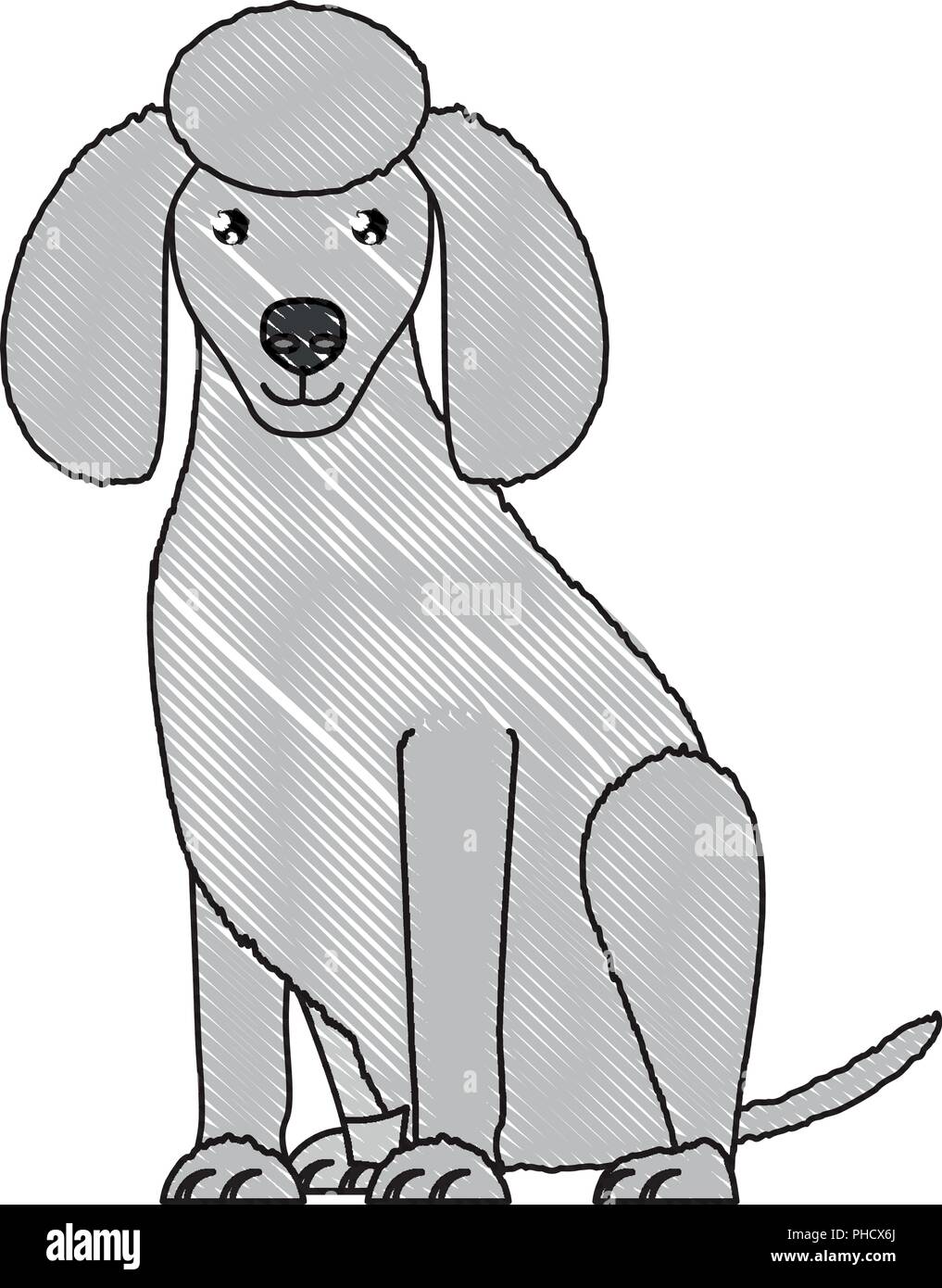 cute poodle dog icon over white background, vector illustration Stock ...