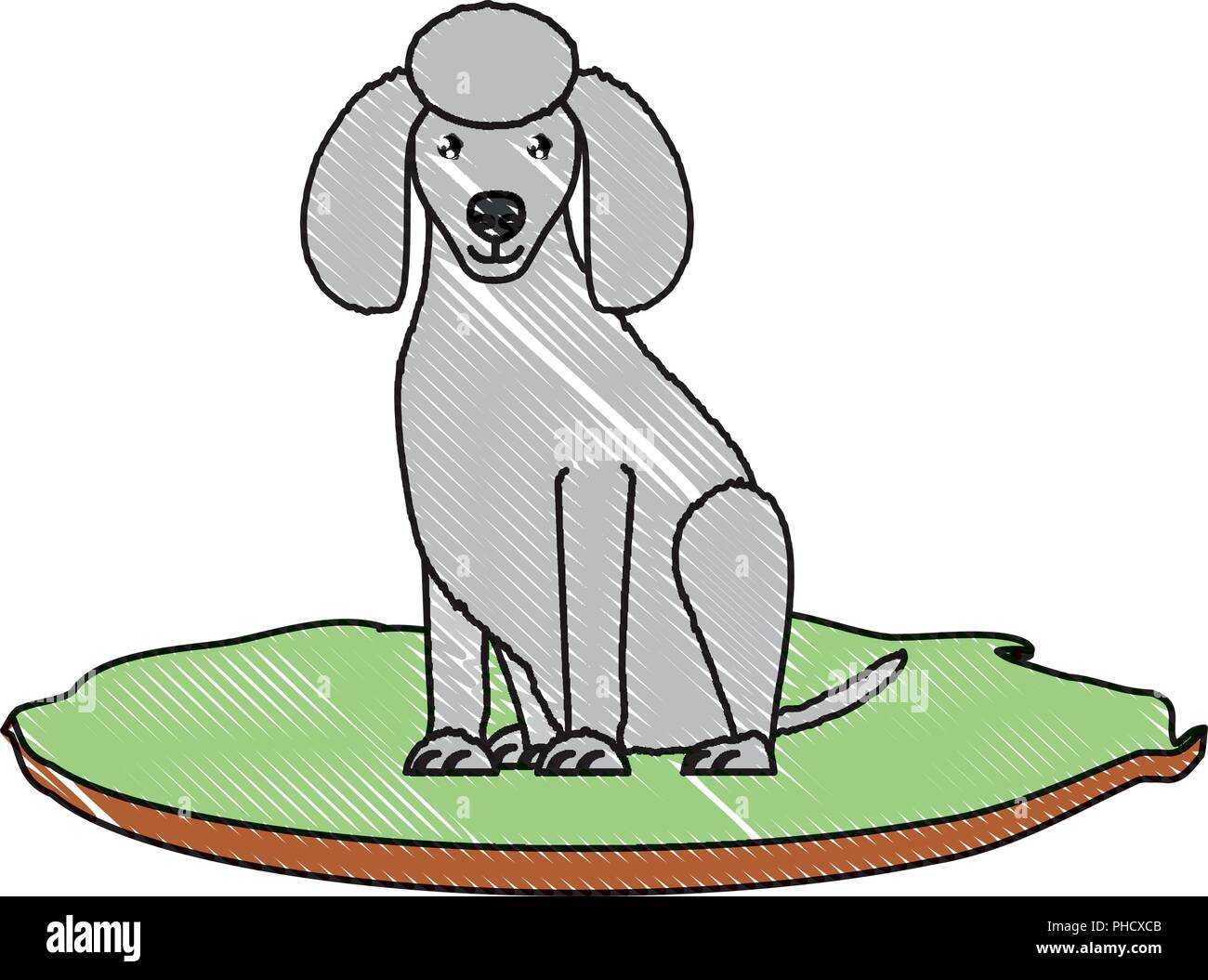 cute poodle dog icon over background, vector illustration Stock Vector ...