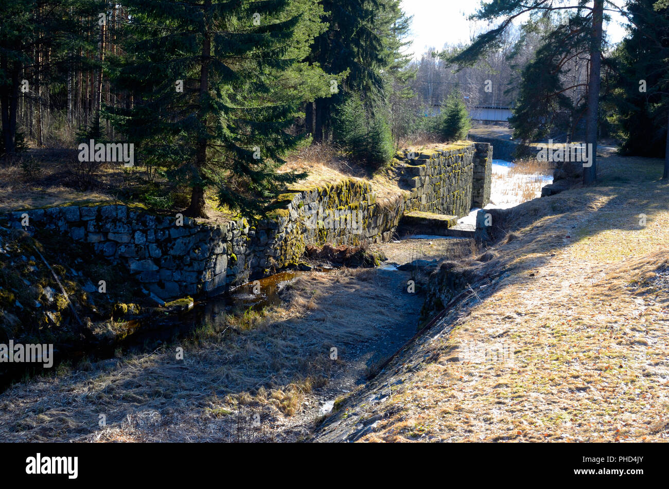 abandoned channel ancient canal in the woods Stock Photo