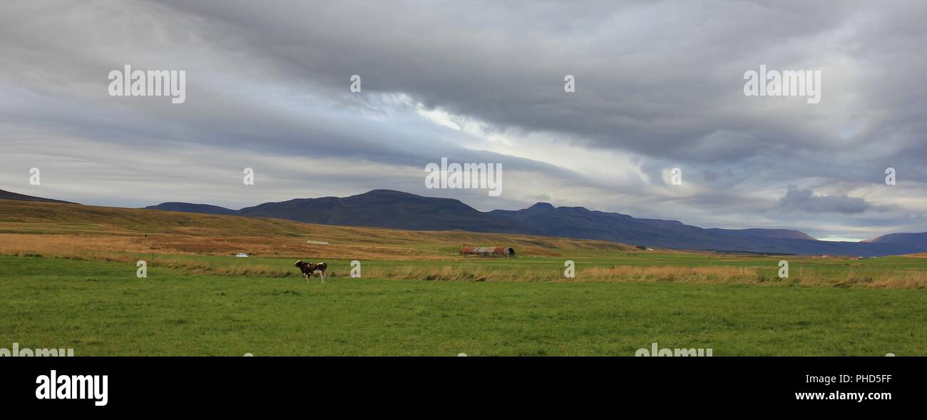 Rural scene near Saudarkrokur, Iceland. Stock Photo