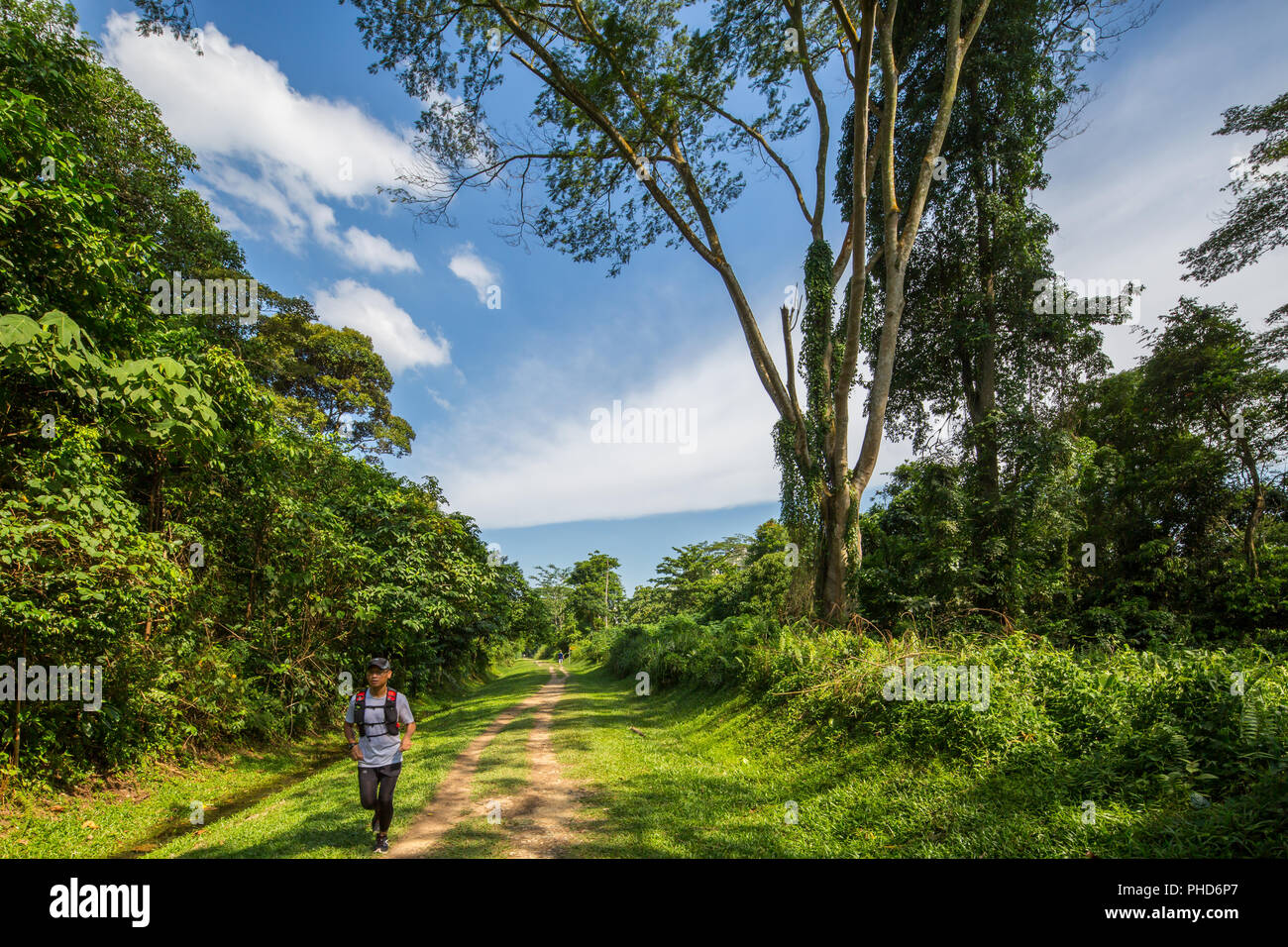 An adult runner with a water bag on his back running inside a trail in a forested environment. Singapore. Stock Photo