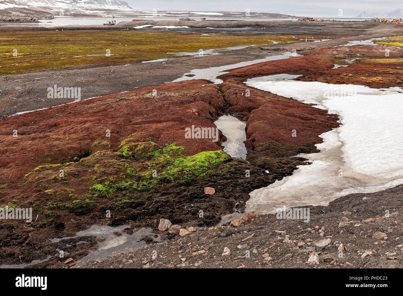 Colored land in Ny Alesund, Svalbard islands Stock Photo Alamy