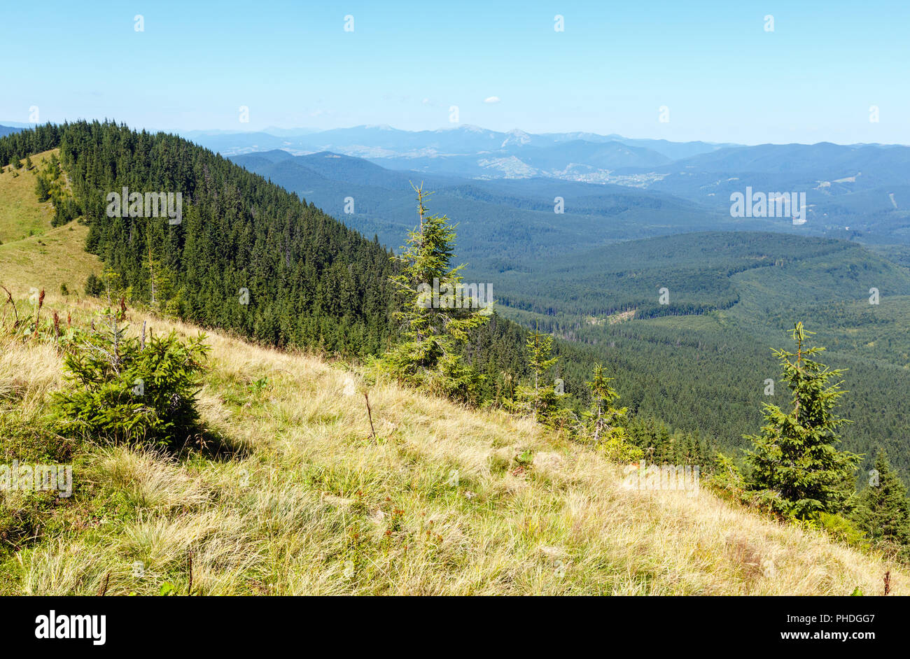 Summer mountain view (Carpathian, Ukraine). Stock Photo