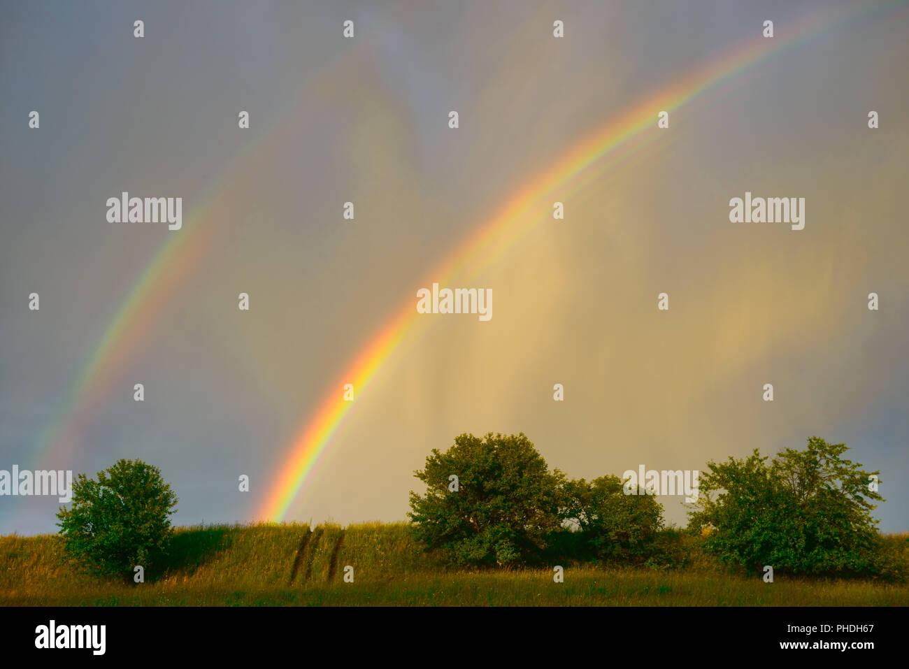 rainbow in a blue sky after the rain Stock Photo - Alamy
