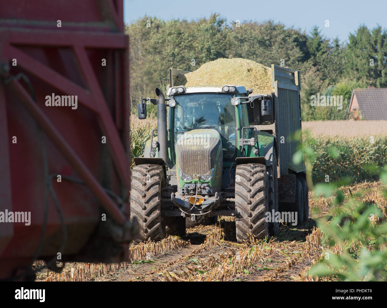 Corn harvest, harvest truck with tractor Stock Photo Alamy
