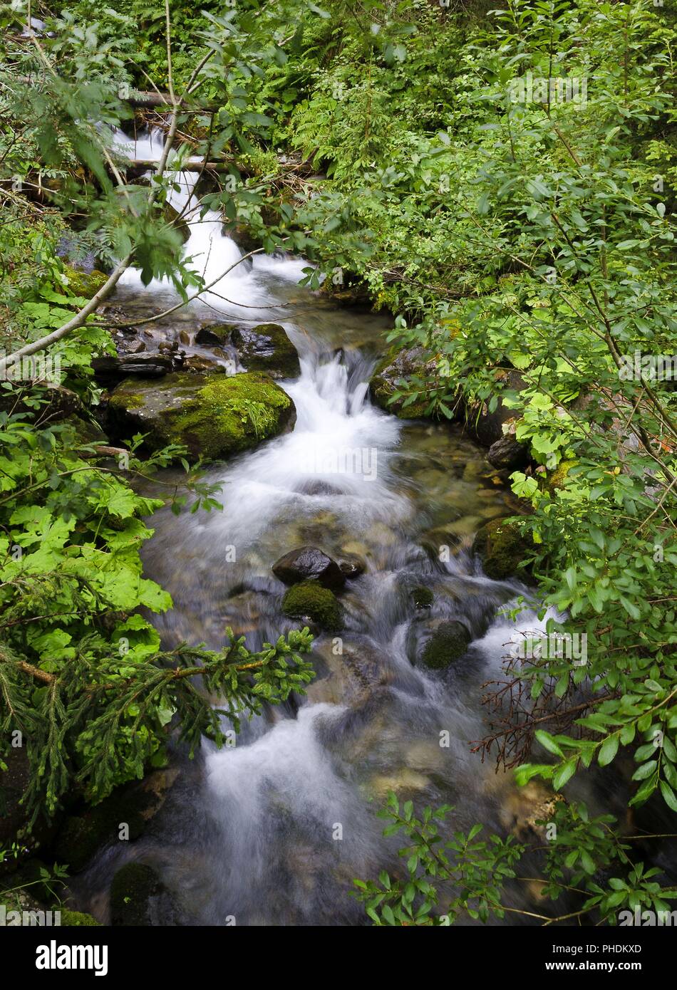 forest brook in the Gailvalley Stock Photo
