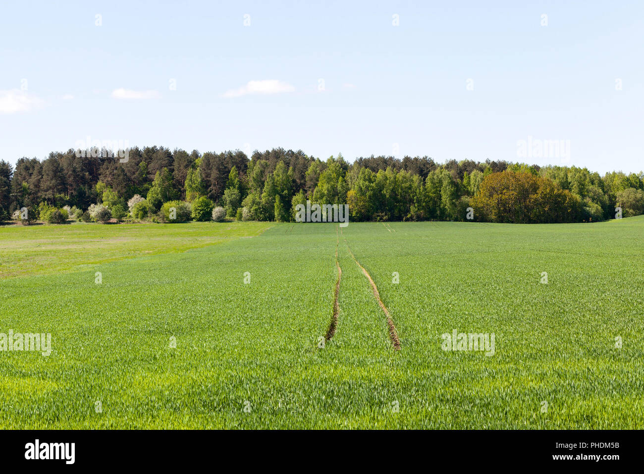 gauge for the movement of agricultural machinery across the field for processing wheat yields with chemicals and fertilizers Stock Photo