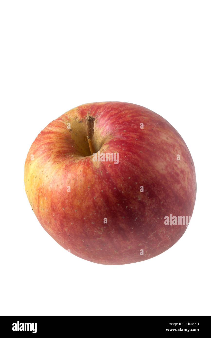 Apple cultivar Shampion Stock Photo