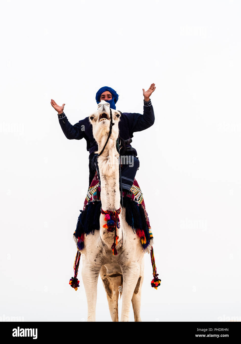 camel driver Stock Photo