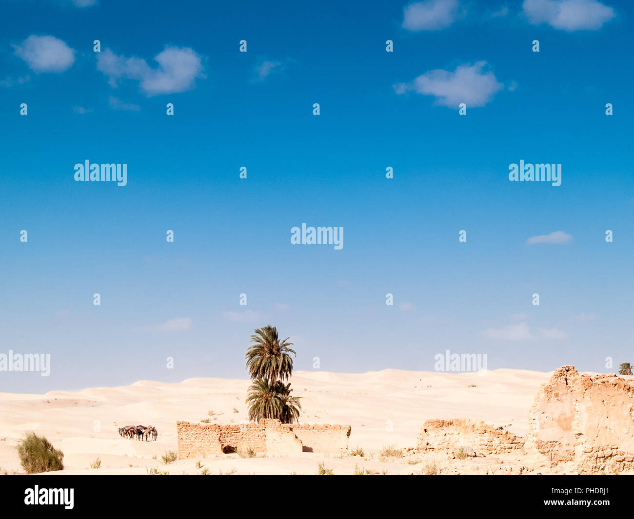 Desert of Douz,Tunisia Stock Photo