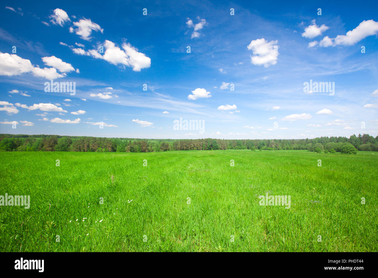Green field under blue cloudy sky Stock Photo - Alamy