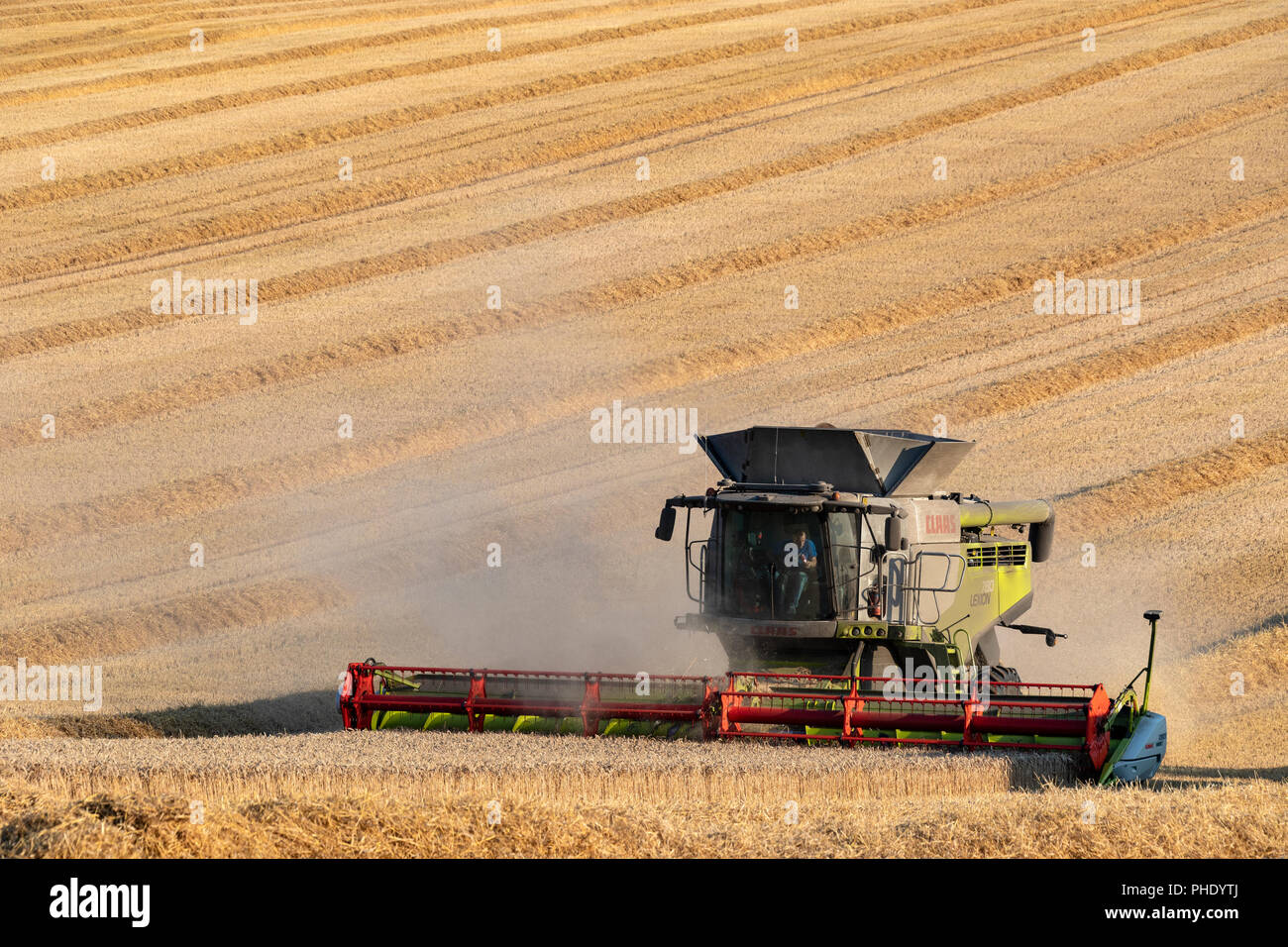 Harvest time - Cutting a crop of wheat in the countryside of North Yorkshire, England. Stock Photo