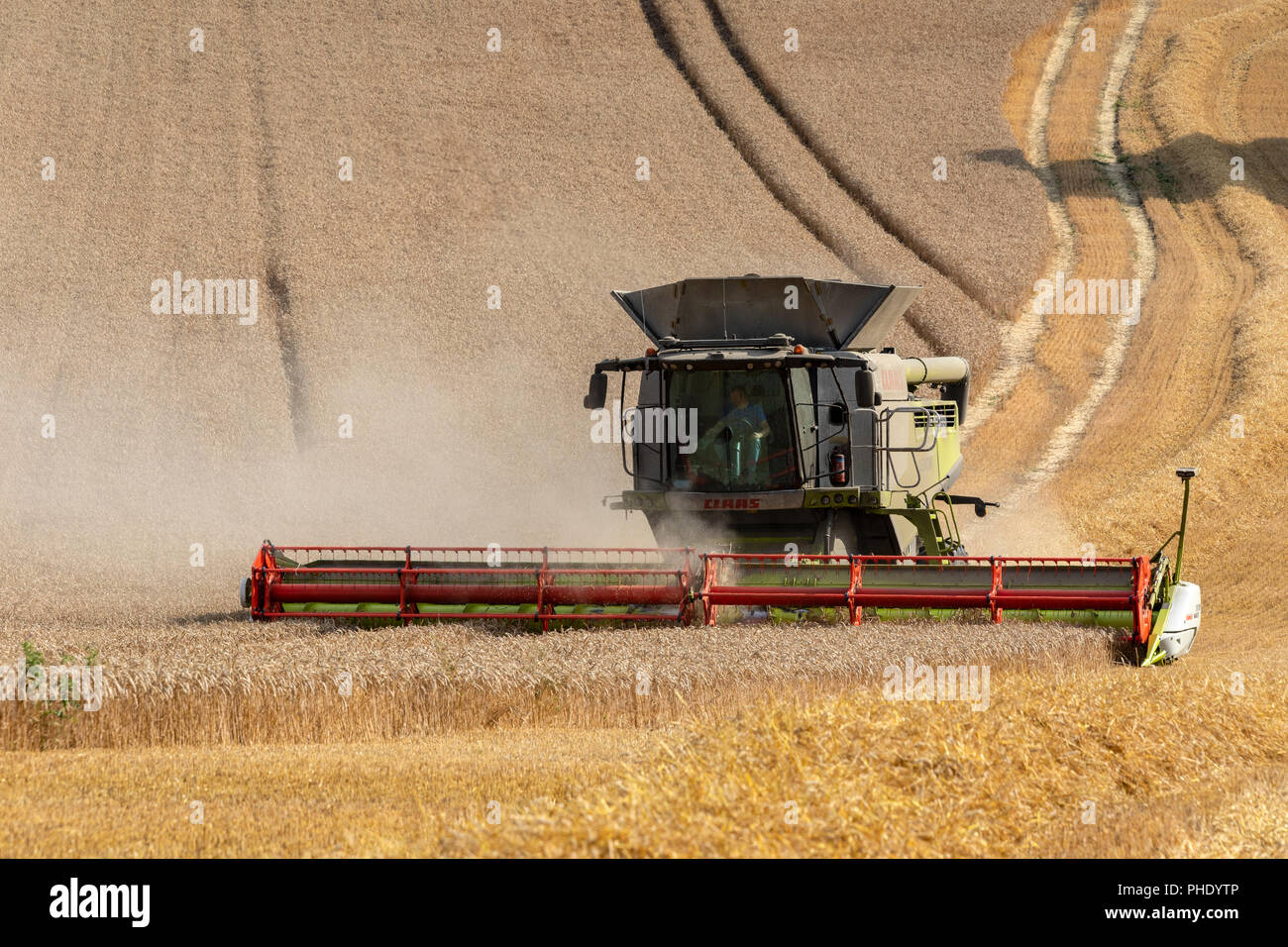 Combine harvester cutting a crop of wheat on farmland in North Yorkshire, England. Stock Photo